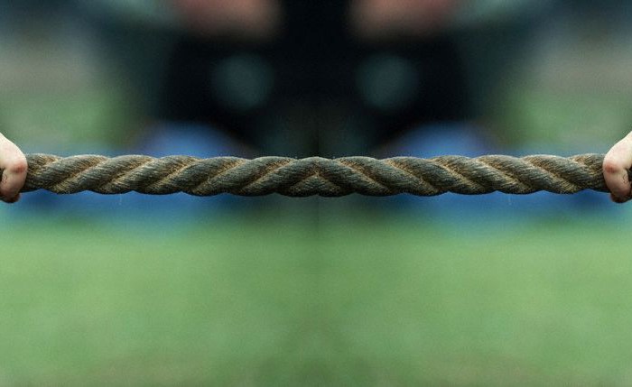 Evolución y creación: fundaciones necesarias para el&nbsp;debate